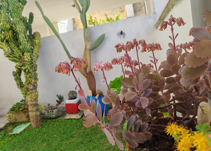 Casa Vacanze Casetta Manila 아파트 우기아노 라 치에사